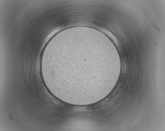 X0000115161006200912081404