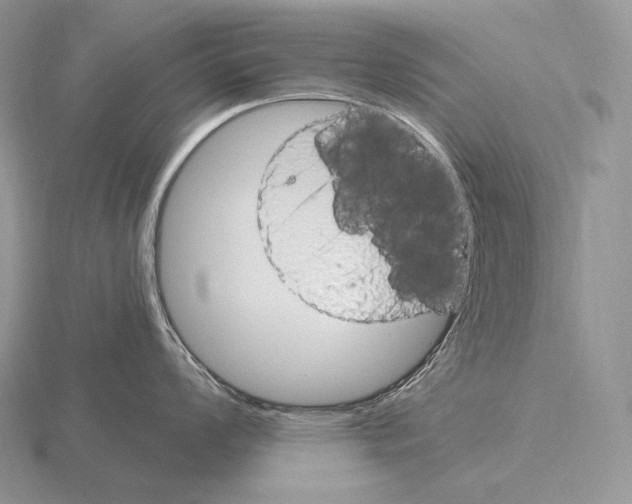 X0000115161008200912081404