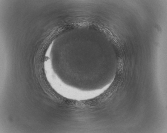 X0000115161009200912081403