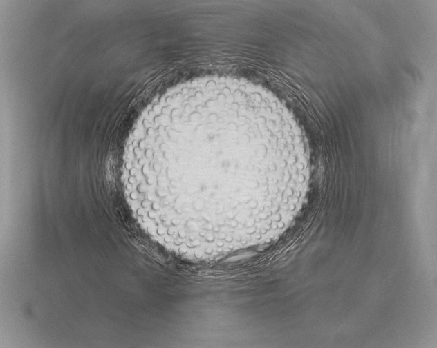 X0000115161010200912081403