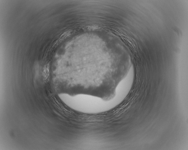 X0000115161011200912081403