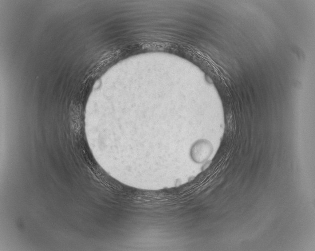 X0000115161012200912081403