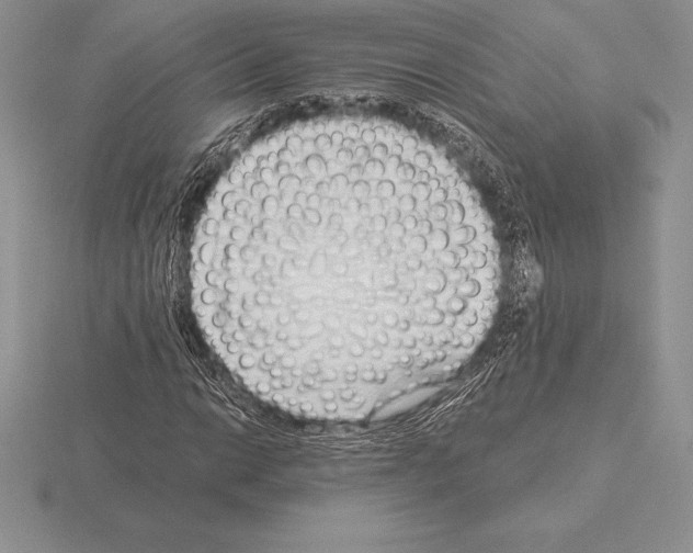 X0000115161014200912081403