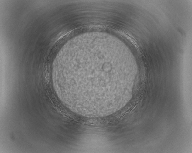 X0000115161015200912081403