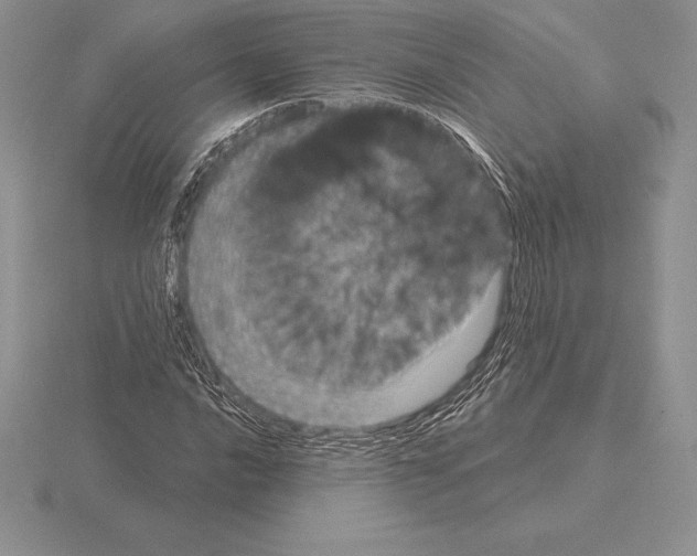 X0000115161016200912081403