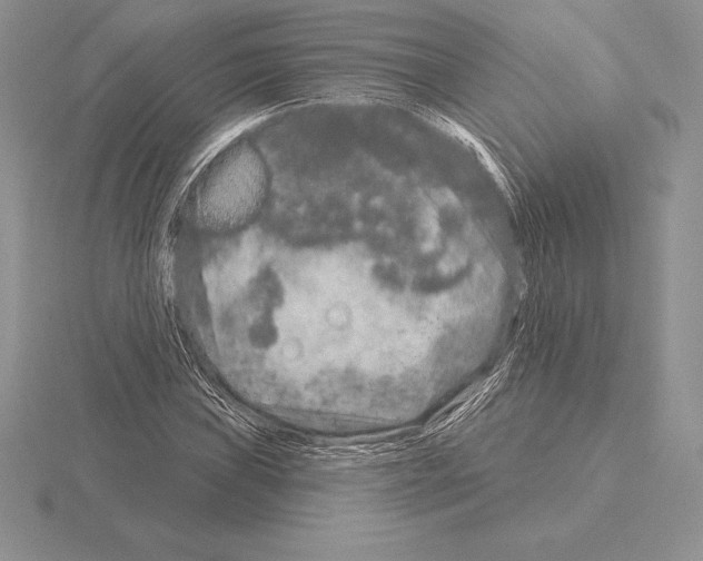 X0000115161019200912081403