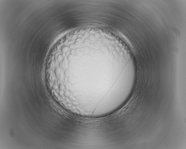 X0000115161020200912081403