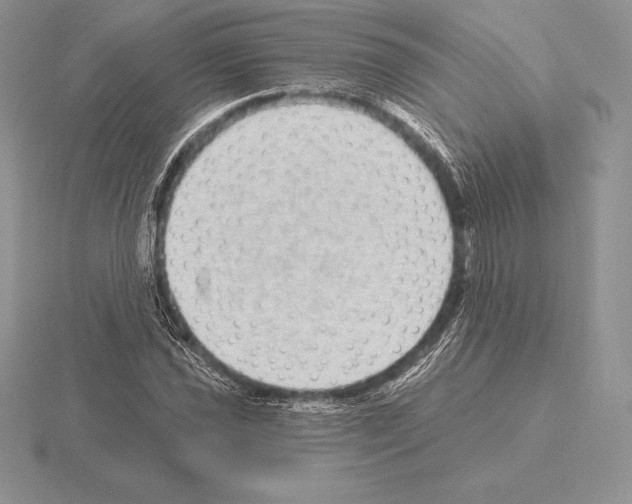 X0000115161021200912081403