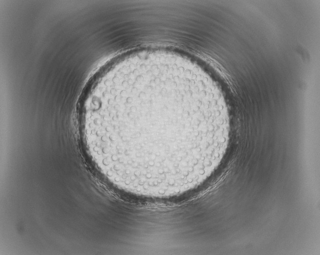 X0000115161022200912081403