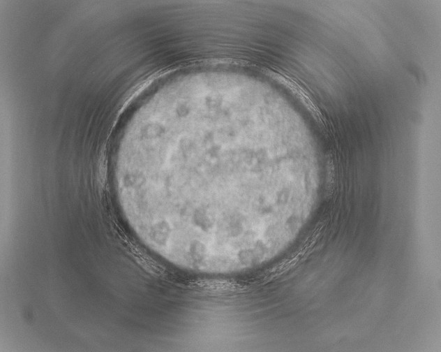 X0000115161023200912081403