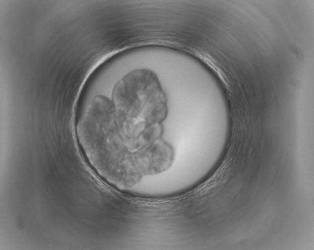 X0000115161024200912081403