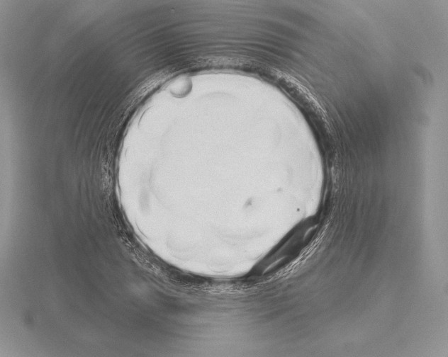 X0000115161025200912081403