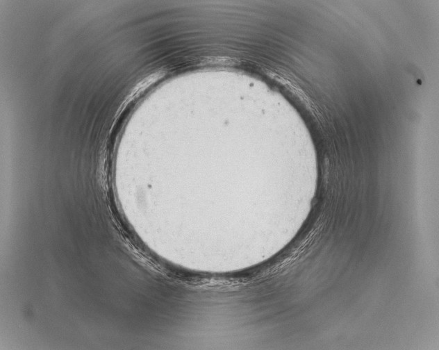 X0000115161026200912081403