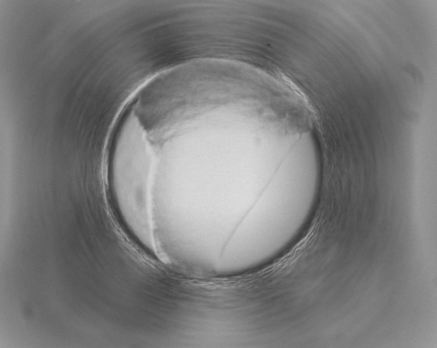 X0000115161028200912081404