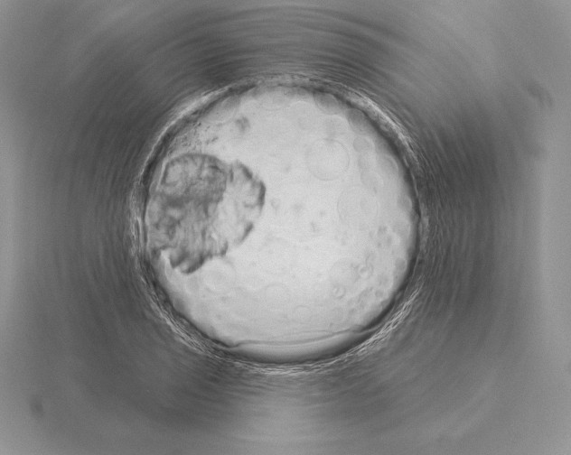 X0000115161029200912081404