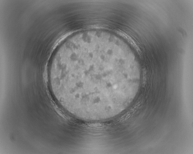 X0000115161031200912081404