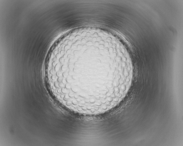 X0000115161032200912081404