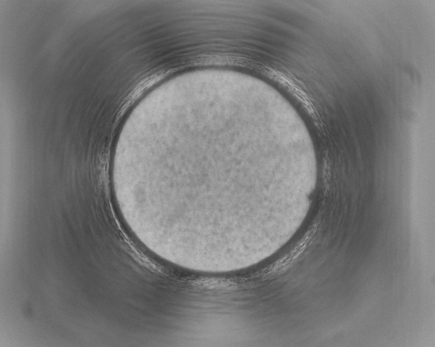 X0000115161033200912081404