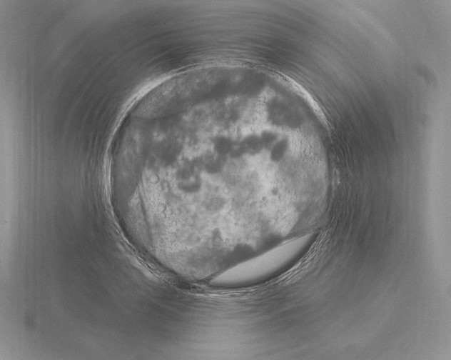 X0000115161035200912081404