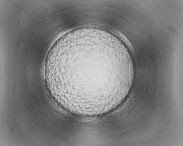 X0000115161036200912081404