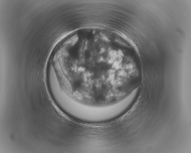 X0000115161037200912081404