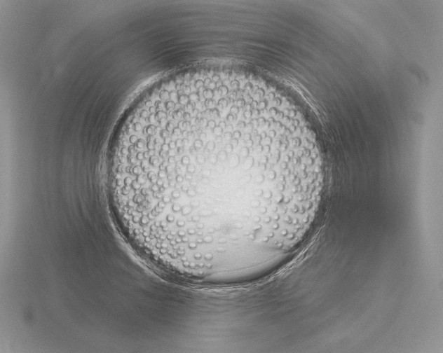 X0000115161038200912081404