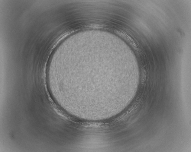 X0000115161039200912081404