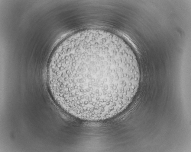 X0000115161040200912081404