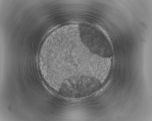 X0000115161041200912081404