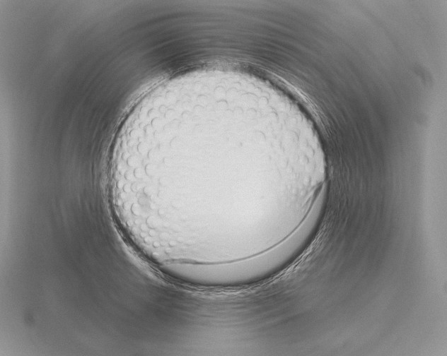 X0000115161042200912081404