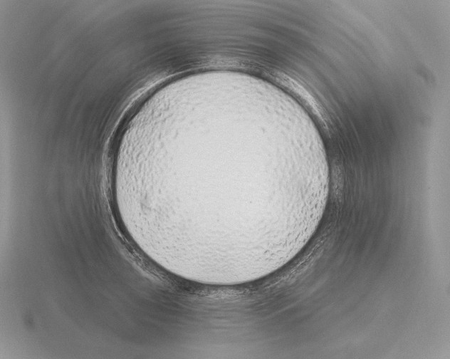 X0000115161043200912081404