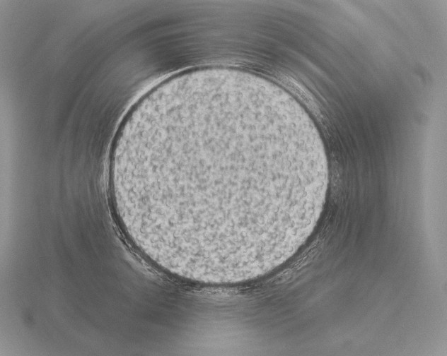 X0000115161044200912081404