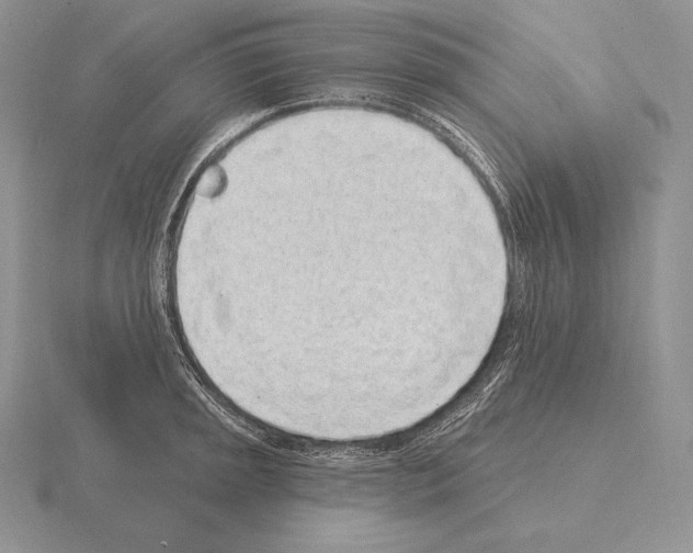 X0000115161045200912081404