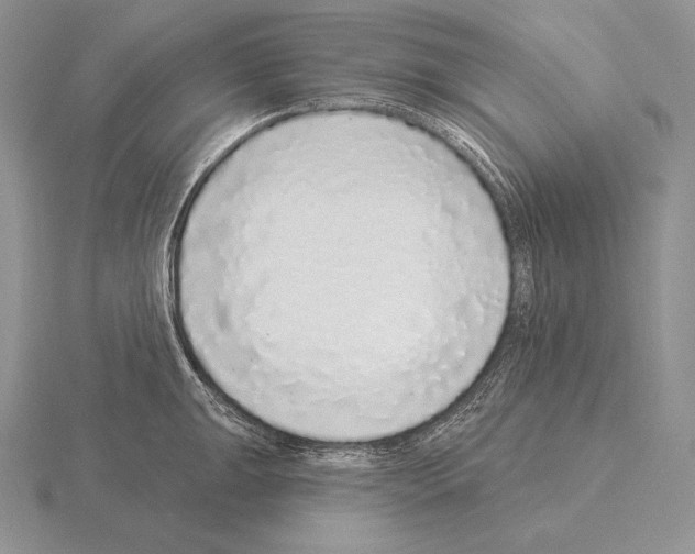 X0000115161047200912081404