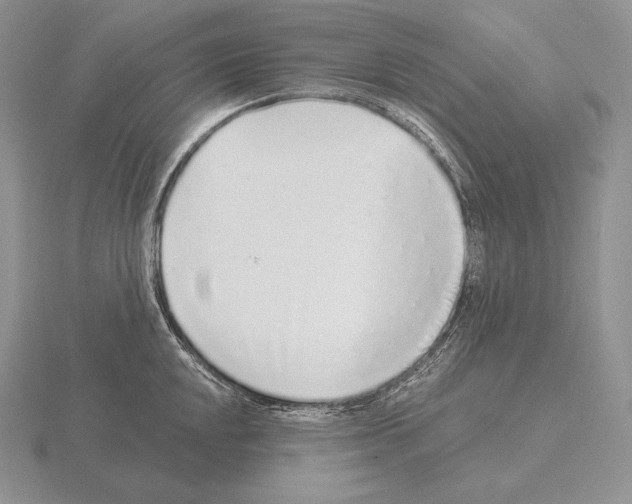 X0000115161048200912081404