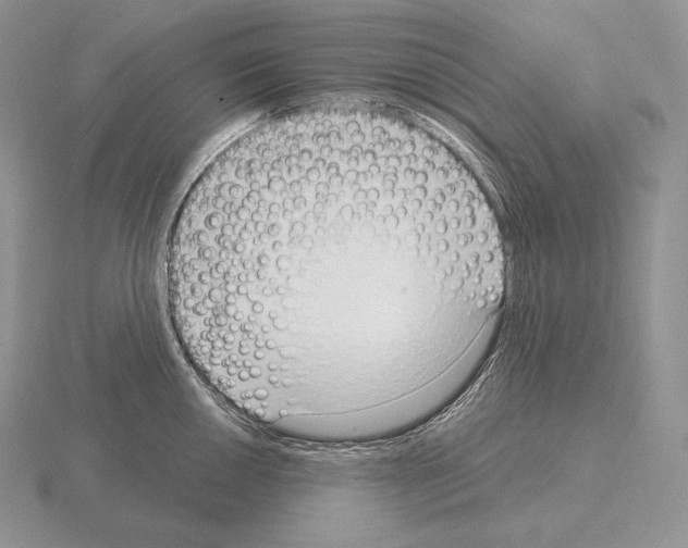 X0000115161050200912081404