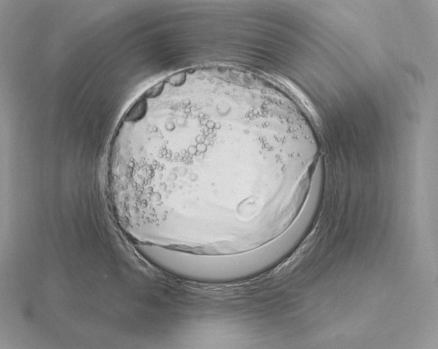 X0000115161052200912081404