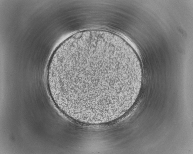 X0000115161053200912081404