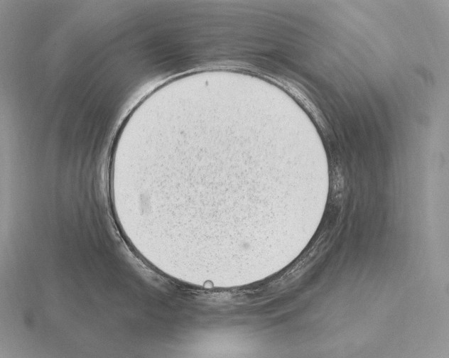 X0000115161054200912081404