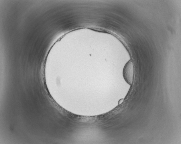 X0000115161056200912081404