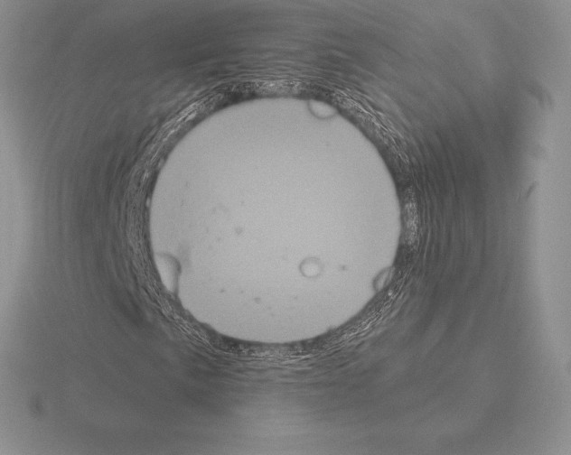 X0000115161057200912081403