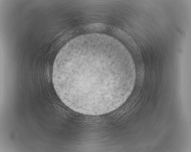 X0000115161058200912081403