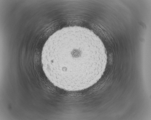 X0000115161059200912081403