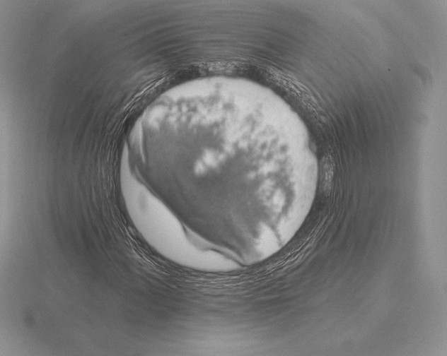 X0000115161060200912081403