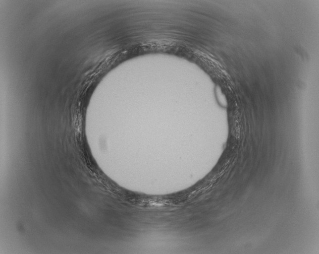 X0000115161061200912081403