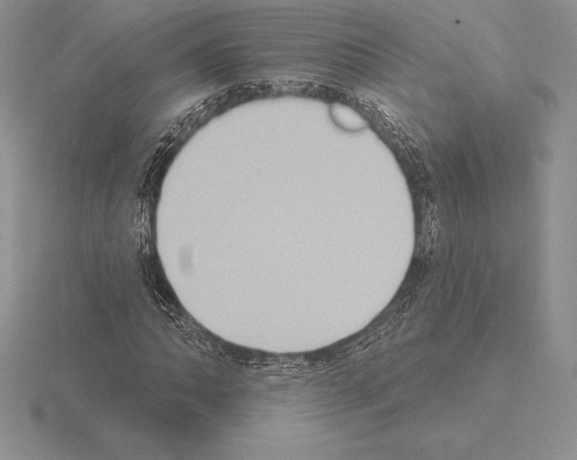 X0000115161062200912081403