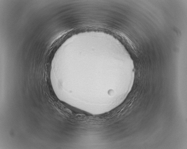 X0000115161064200912081403