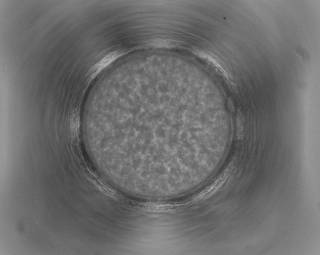 X0000115161065200912081403