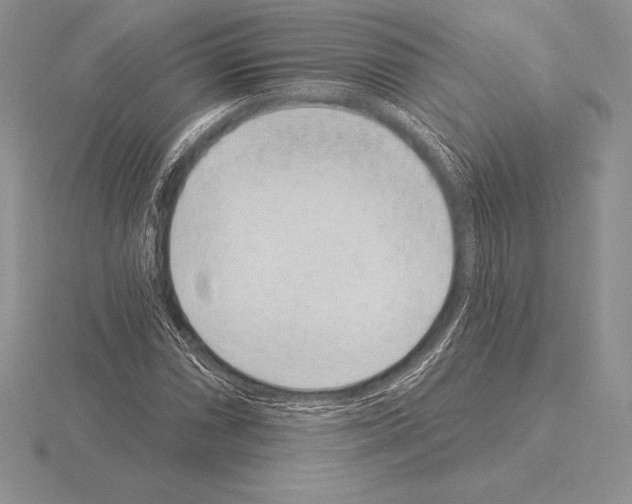 X0000115161066200912081403