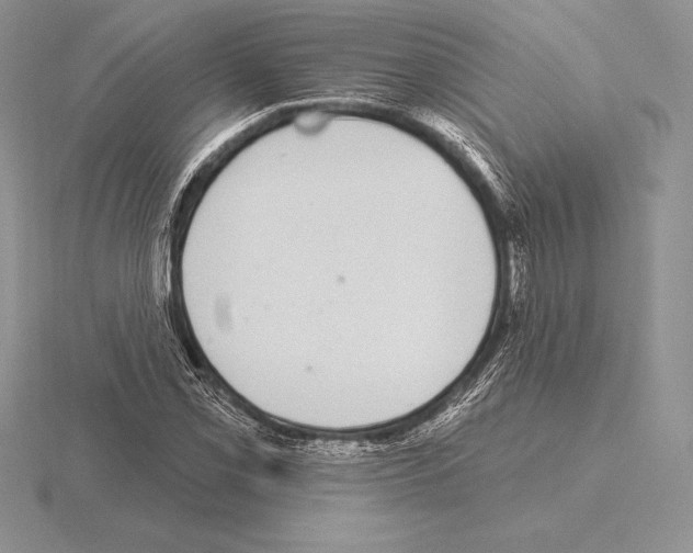 X0000115161069200912081403